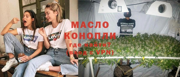 дмт Абаза