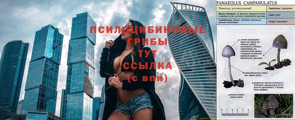 твердый Абинск